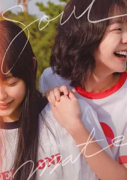 再见，我的灵魂伴侣